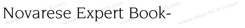 Novarese Expert Book字体转换